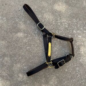 Horses Halter
